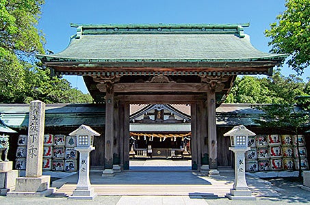 ホテル日航福岡で優雅なランチと国営海の中道海浜公園ネモフィラ 日帰り ゴールデンウィーク出発限定!1